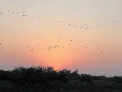 Port A Outdoors - Port Aransas South Jetty
