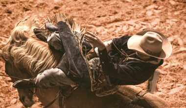 January Photo of the Month — Rough Stock Riders at Fort Worth Rodeo