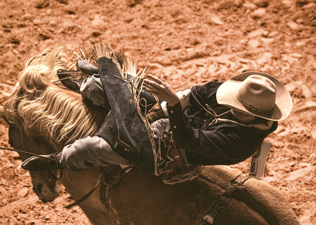 January Photo of the Month — Rough Stock Riders at Fort Worth Rodeo