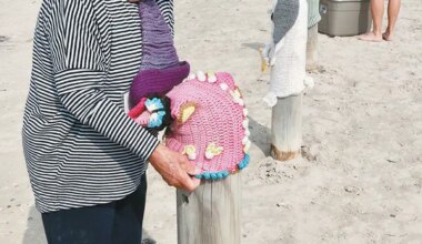 Handmade ‘bollard buddies’ add a touch of whimsy to beach park
