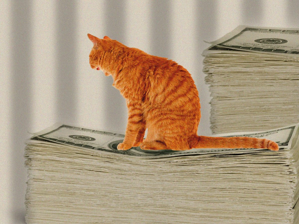 ‘I Didn’t Know So Many People Cared.’ How the Daughter of an Incarcerated Woman Raised $11,000 for a Sick Prison Cat.