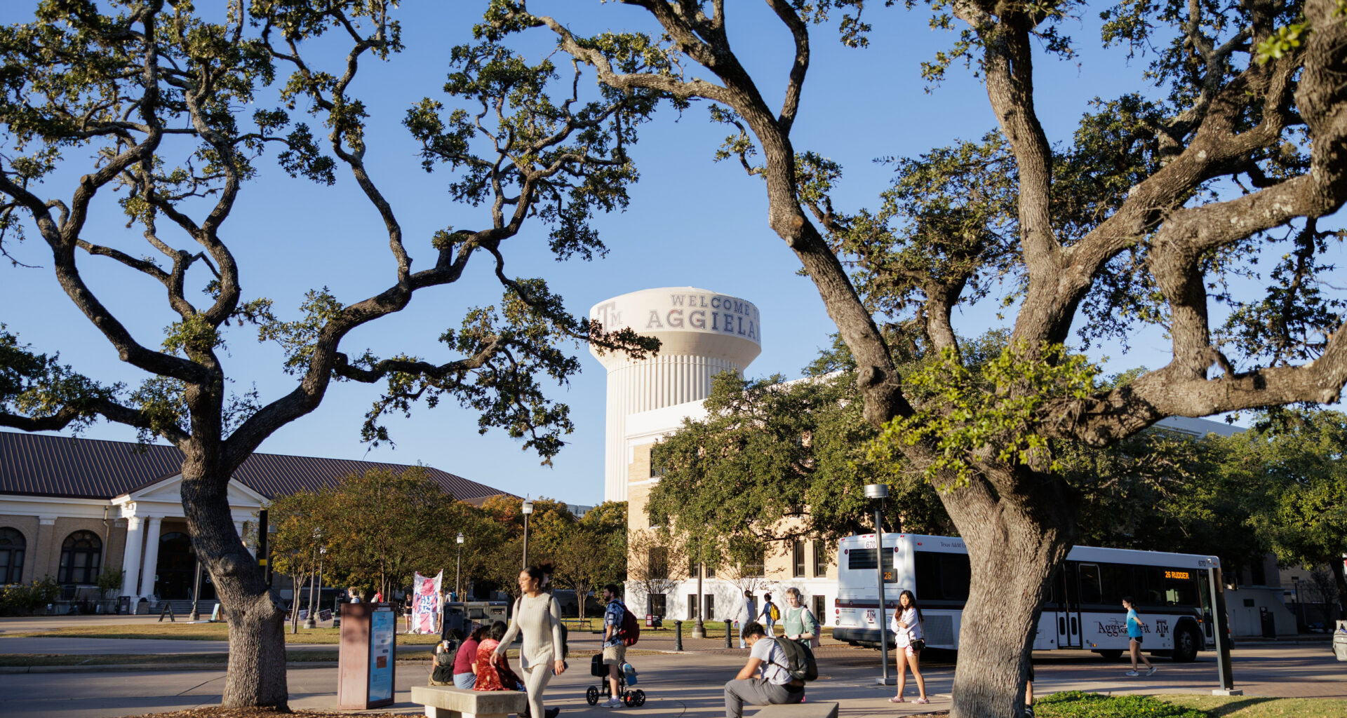 Greg Abbot wants H-1B visa data from Texas schools