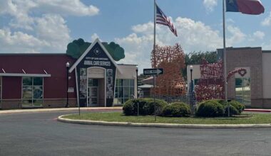 Police report filed for dog stolen from ACS facility