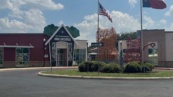 Police report filed for dog stolen from ACS facility