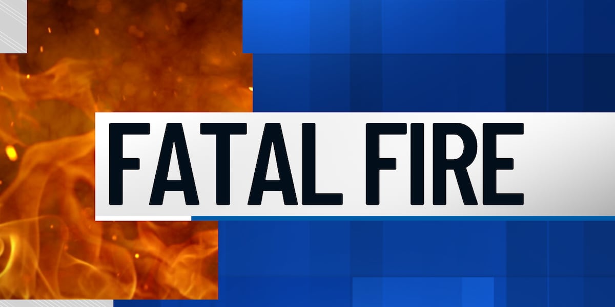 Young child dies in Houston County house fire