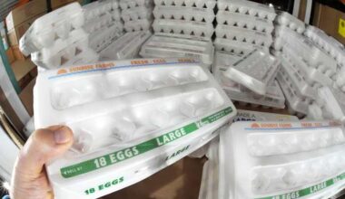 444K egg donations on the way to Houston-region food banks