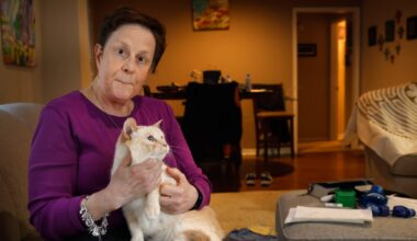 How a Richardson woman lost $22,000 trying to buy a phantom pet