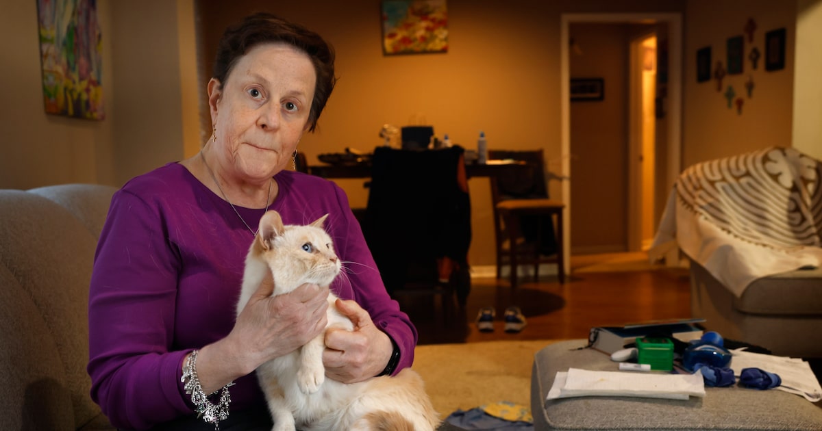 How a Richardson woman lost $22,000 trying to buy a phantom pet