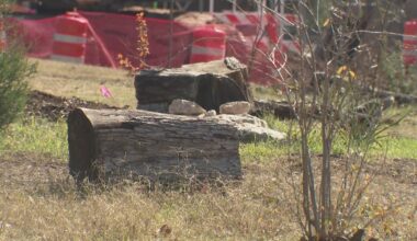 Austin food forest warns I-35 expansion project could disrupt green oasis