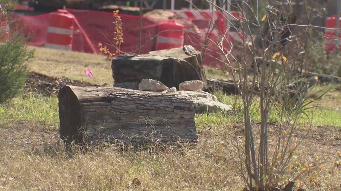 Austin food forest warns I-35 expansion project could disrupt green oasis