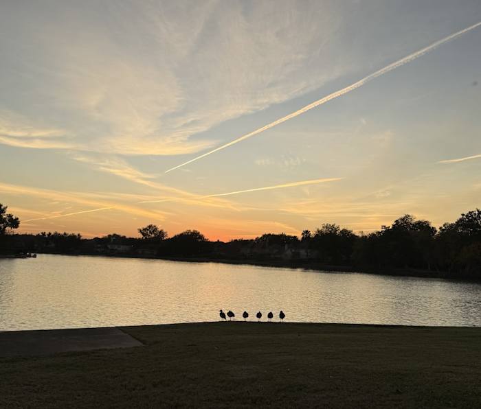 The lines above Houston