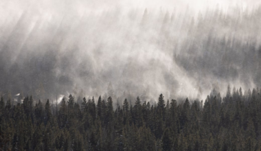 LHUCA Presents the 256th First Friday Art Trail, Jan. 2