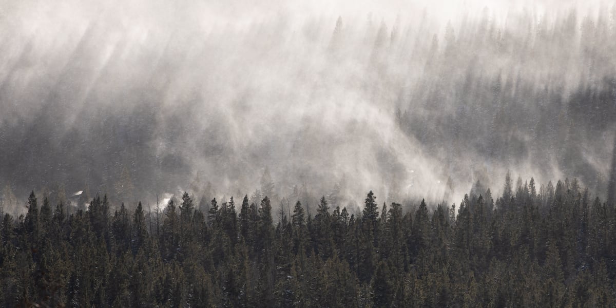 LHUCA Presents the 256th First Friday Art Trail, Jan. 2