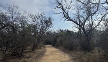 The land will be used in a project designed to connect The Rim to Raymond Russell County Park. (Parks Kugle/Community Impact)