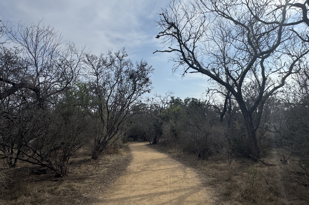 The land will be used in a project designed to connect The Rim to Raymond Russell County Park. (Parks Kugle/Community Impact)