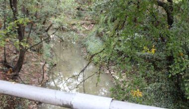 Turkey Gully water view over a railing
