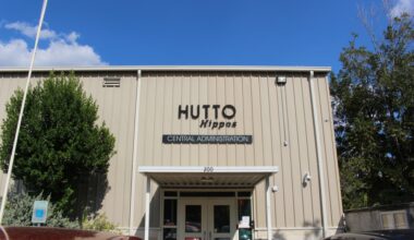 Those who win their seats in the regular election will serve a three-year term. (Brooke Sjoberg/Community Impact)