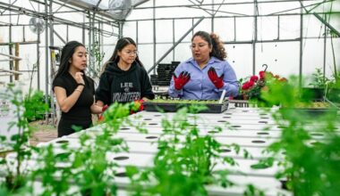 Take a tour of the San Antonio Food Bank's urban farms throughout January and February. (Courtesy San Antonio Food Bank)