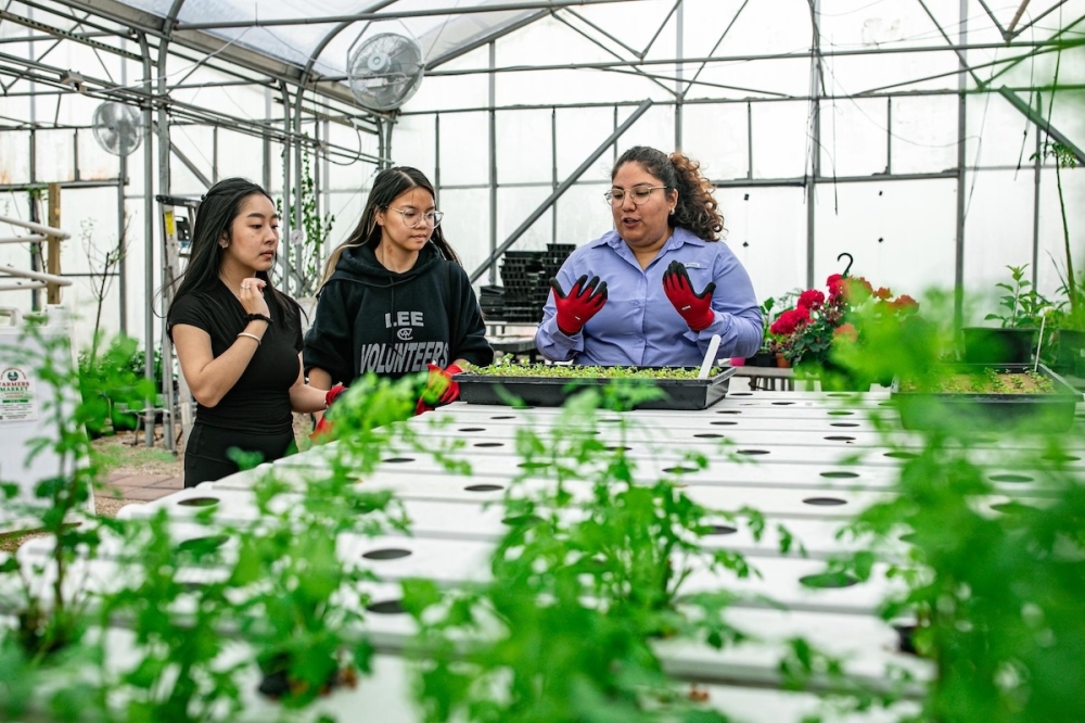 Take a tour of the San Antonio Food Bank's urban farms throughout January and February. (Courtesy San Antonio Food Bank)
