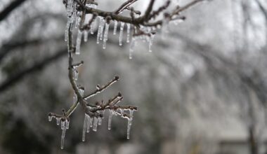 All city facilities will be closed this weekend due to severe winter weather. (Community Impact Staff)