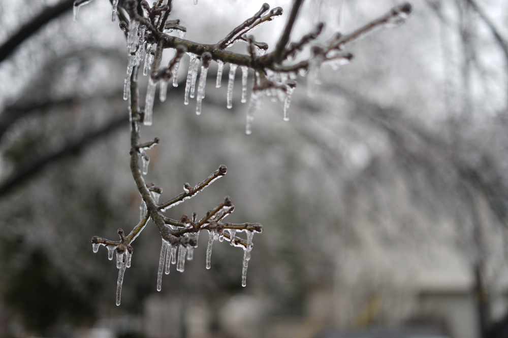 All city facilities will be closed this weekend due to severe winter weather. (Community Impact Staff)