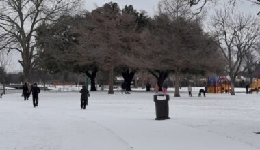 people explore a frozen over park in the early afternoon