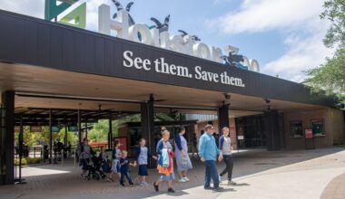 The Houston Zoo is undergoing a multiyear habitat upgrade project. (Courtesy Houston Zoo)