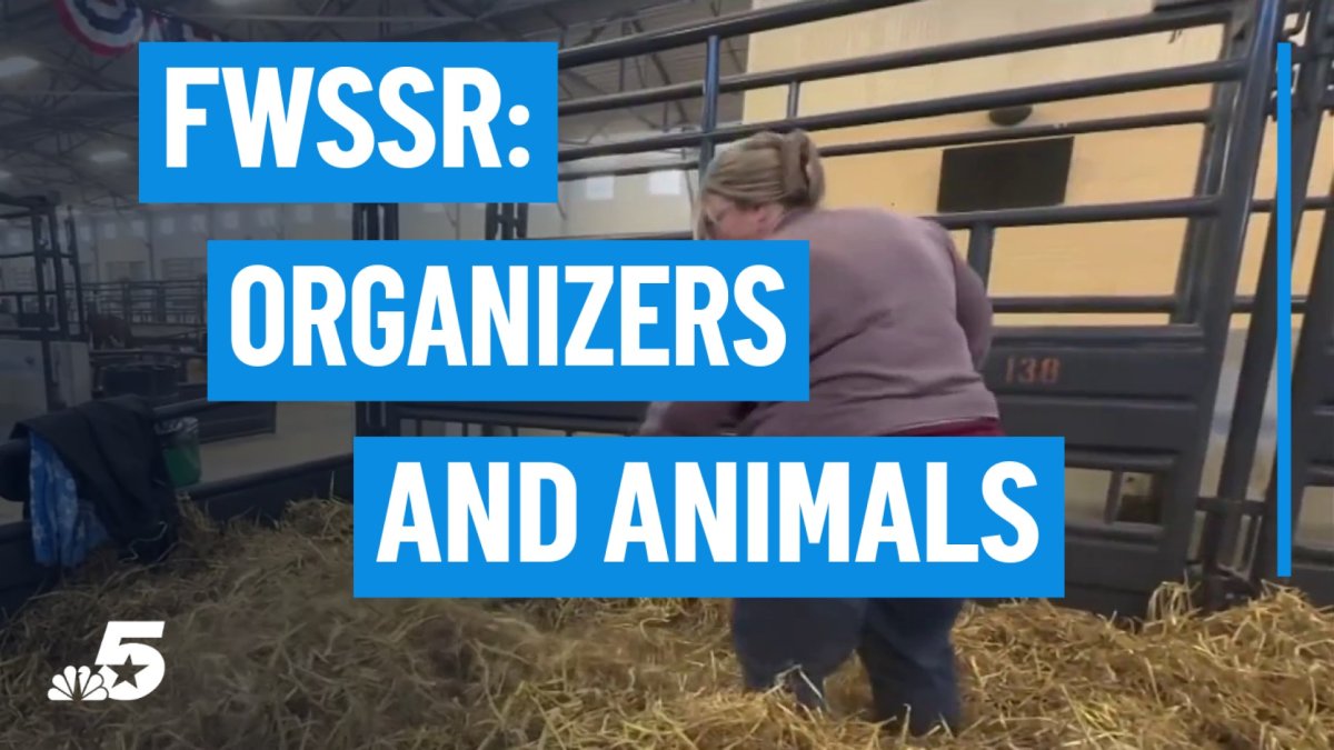 How Fort Worth Stock Show organizers and animals are preparing – NBC 5 Dallas-Fort Worth