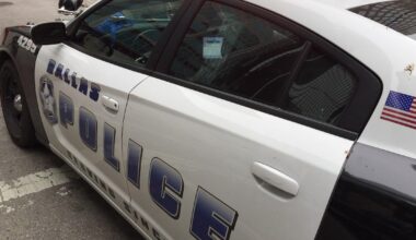 Driver dead after vehicle hits pole, catches fire in Dallas’ Mountain Creek area