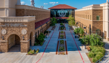 Texas Tech launches Food Animal Residency program to help rural communities with vet shortage