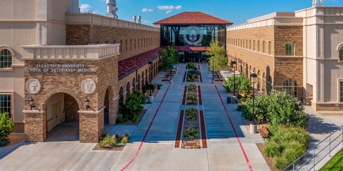 Texas Tech launches Food Animal Residency program to help rural communities with vet shortage