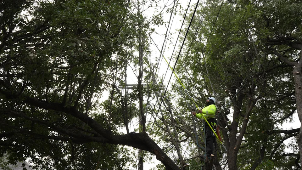 Oncor Electric workers trimmed trees this week to try to help reduce power outages during the January 2026 winter storm.