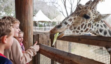Dallas Zoo is preparing to keep its animals safe during upcoming winter blast. Here’s how