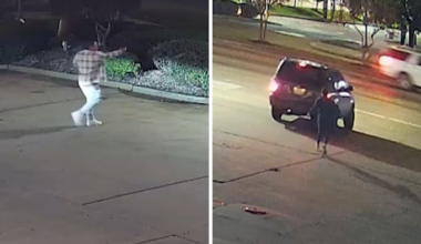 Innocent man fatally shot after father believes kidnapped daughter was in his car at Houston gas station