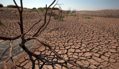 Meadows Foundation donates nearly $3M to launch water research institute in West Texas