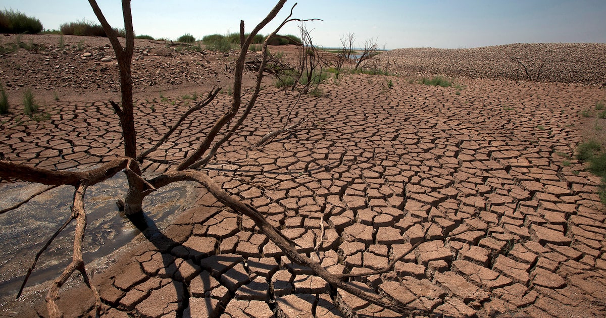 Meadows Foundation donates nearly $3M to launch water research institute in West Texas