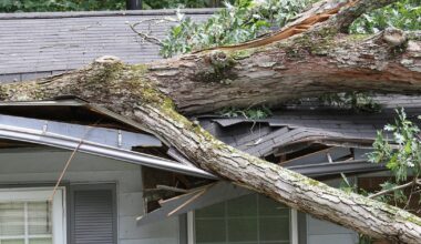 With high premiums and fewer claims paid, Texas insurance companies are failing homeowners.