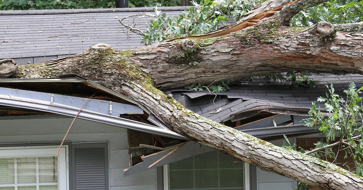 With high premiums and fewer claims paid, Texas insurance companies are failing homeowners.