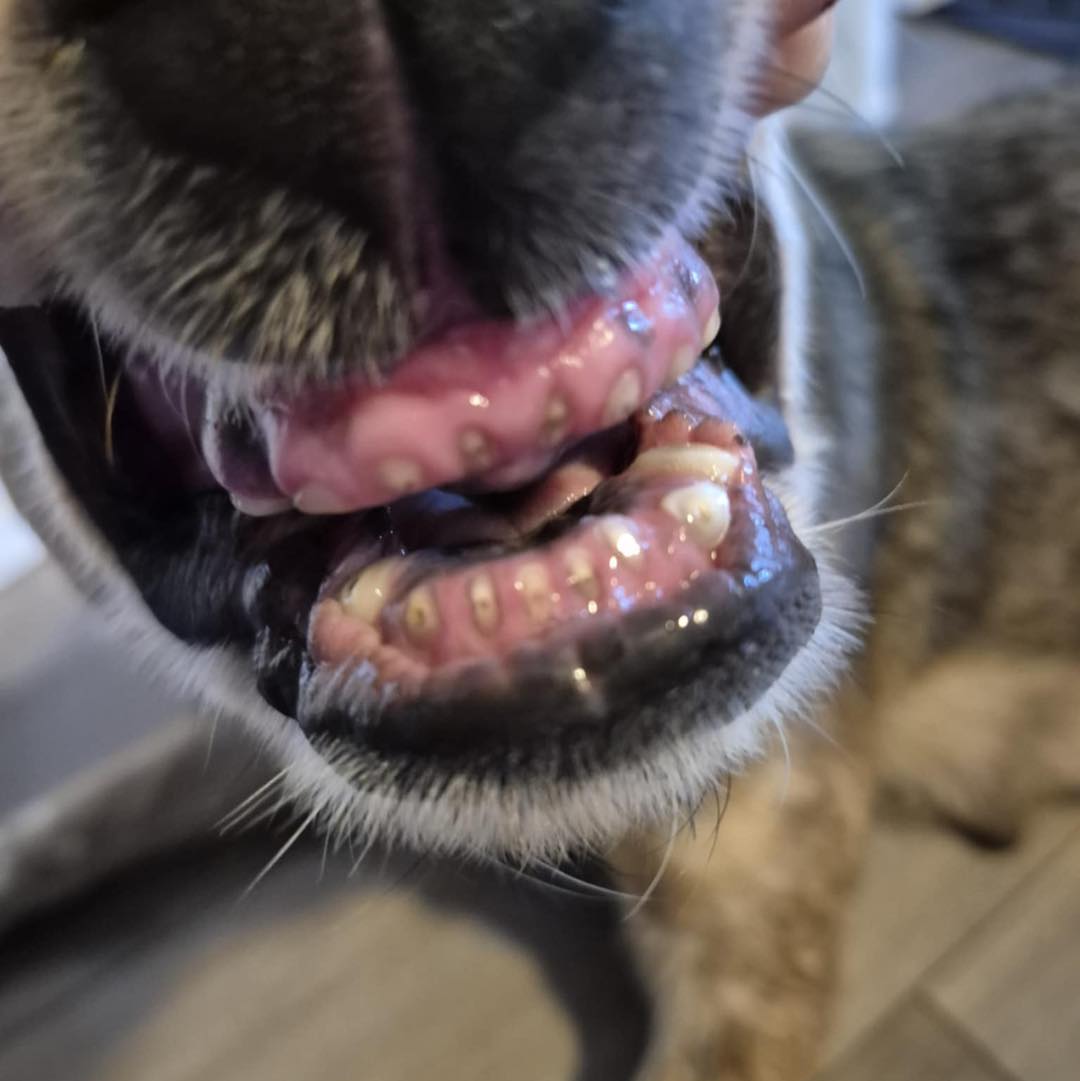 No photo description available.