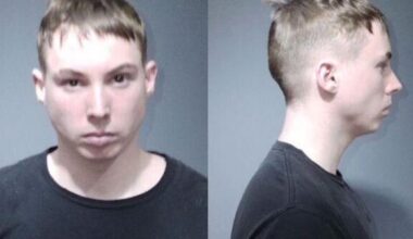 Plano man sentenced to seven years in child pornography case