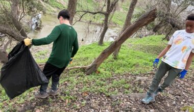 Grassroots effort seeks to restore Hollywood Bayou name | Community