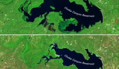 Choke Canyon Reservoir begins year at less than 10% capacity | The Progress