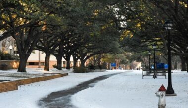 UTA to continue virtual classes and operations Wednesday | Campus