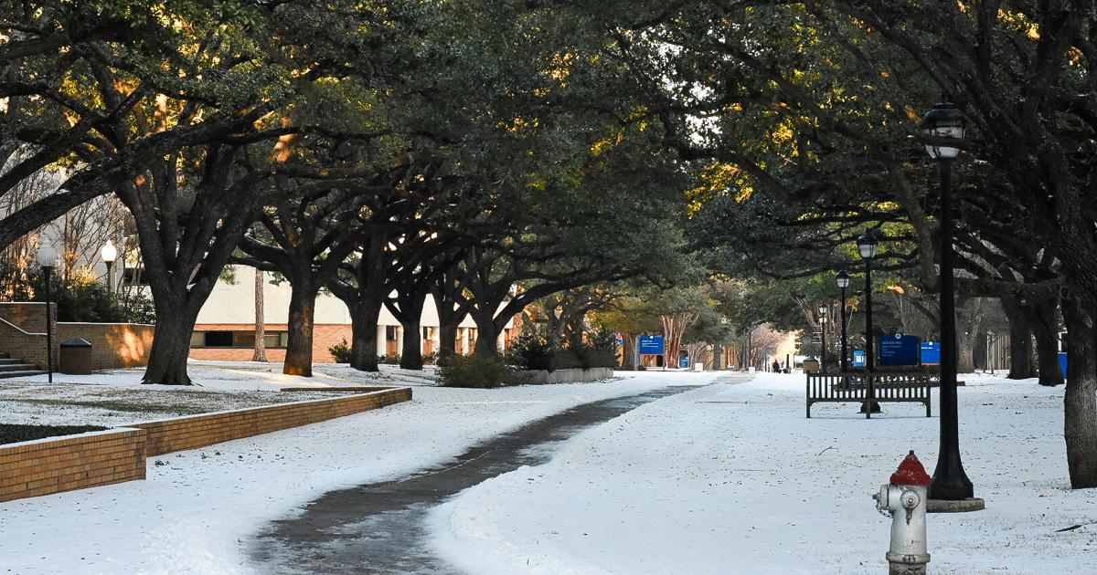 UTA to continue virtual classes and operations Wednesday | Campus