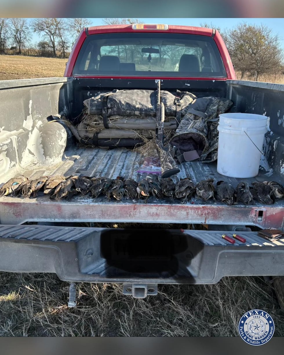 Texas Game Wardens cite duck hunters for baiting violation near Axtell