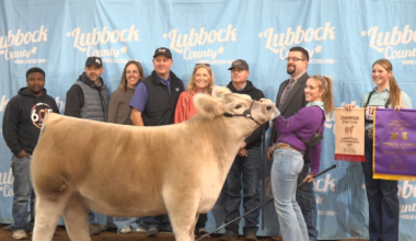 Lubbock County Junior Livestock Show draws kids from around the South Plains