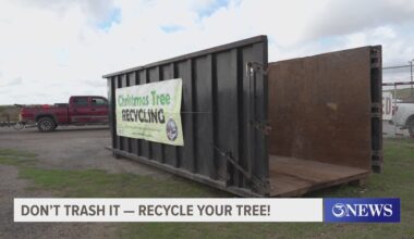 Corpus Christi's Christmas tree recycling program opens