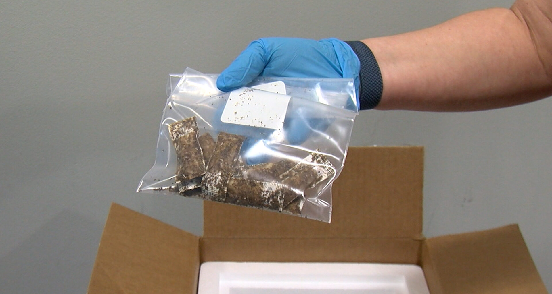 El Paso expands rabies prevention efforts through new wildlife vaccination partnership