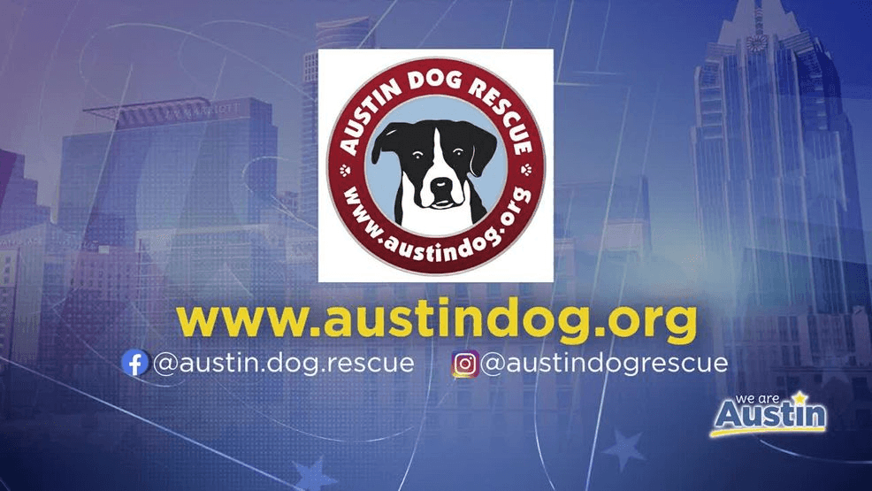 AustinDog.com]