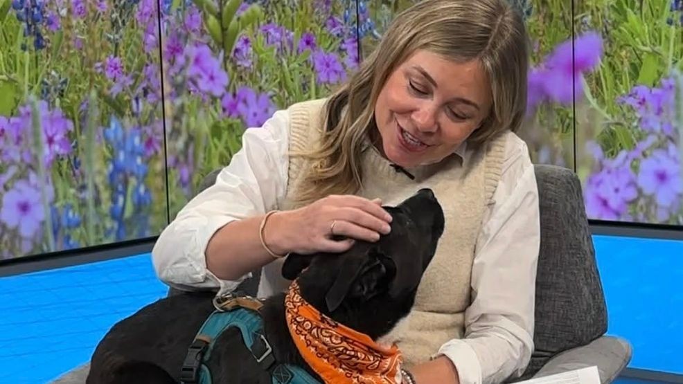 Celebrating the We Are Austin way, Sarah Wolf from Good Party ATX joined the show to chat with Sierra Waggoner, bringing along an adoptable pup and a full rundown of what’s happening around the city.